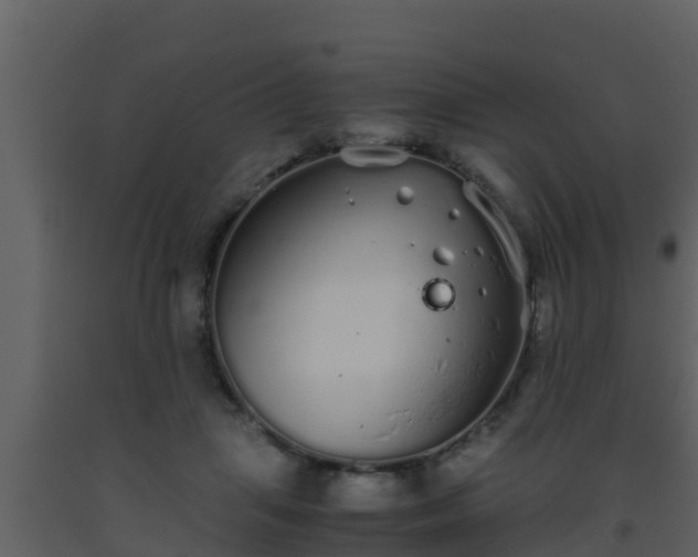 X0000093530455200710191357