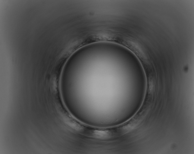 X0000093530457200710191357