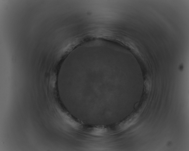 X0000093530458200710191357