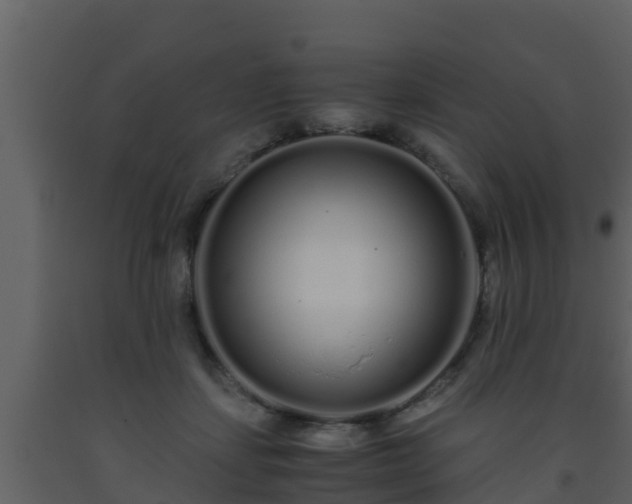 X0000093530459200710191357