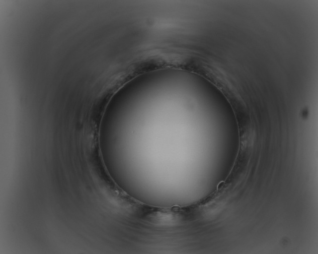 X0000093530464200710191357