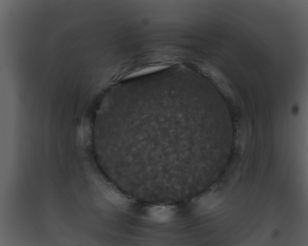 X0000093530465200710191357