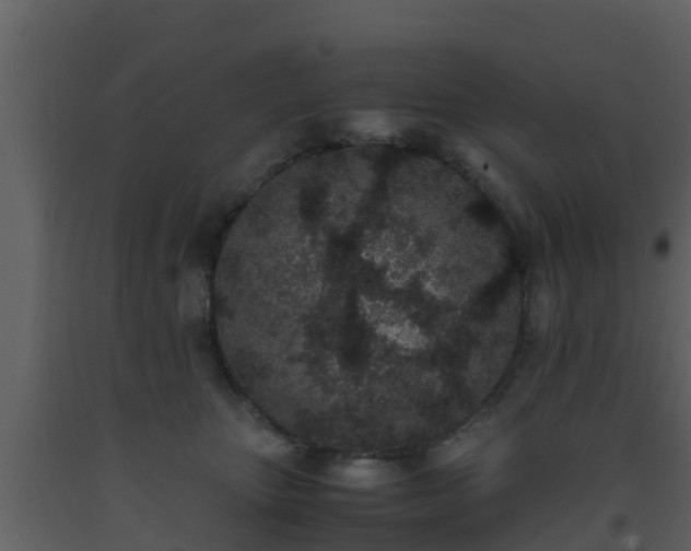 X0000093530467200710191357