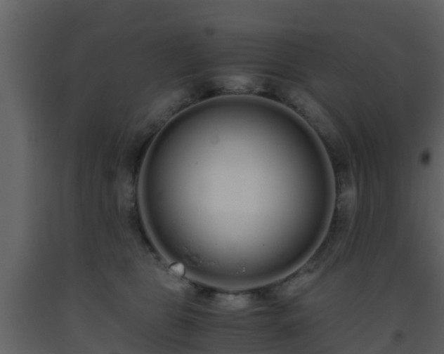 X0000093530469200710191357