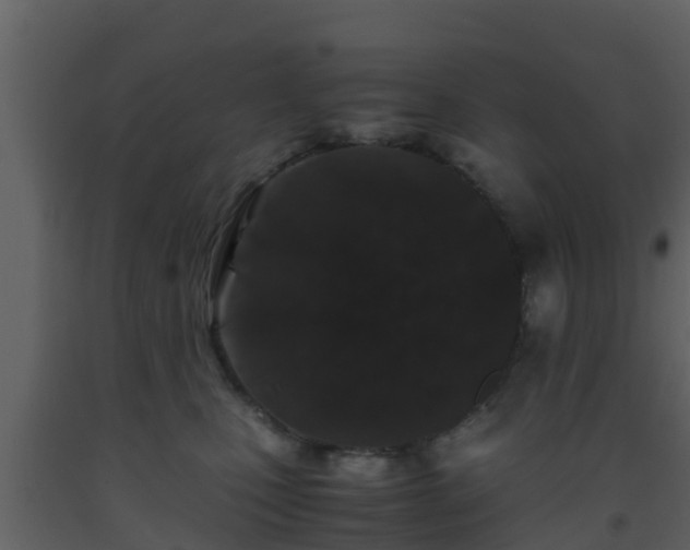 X0000093530471200710191357