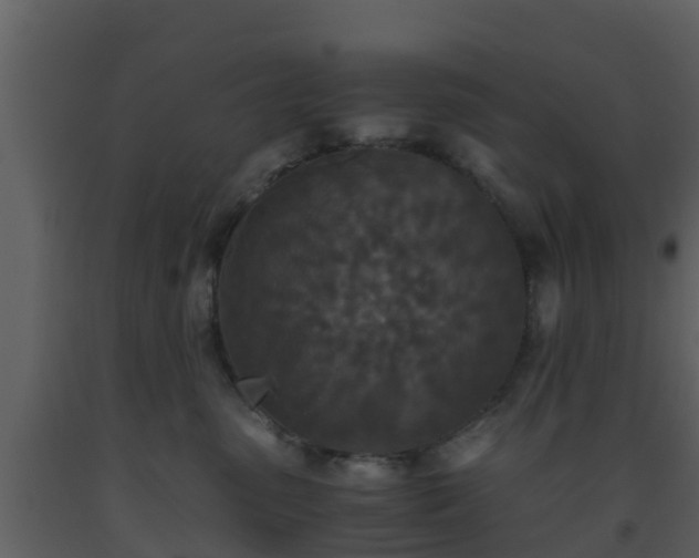 X0000093530475200710191357