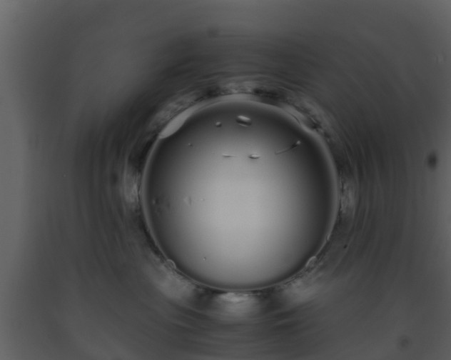 X0000093530477200710191357