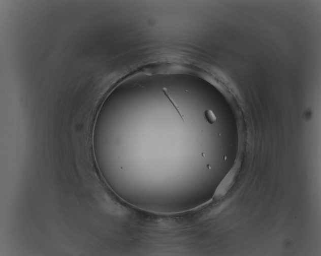 X0000093530481200710191356