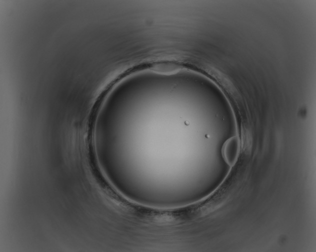 X0000093530483200710191356