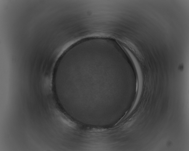 X0000093530484200710191356