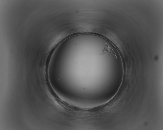 X0000093530485200710191356