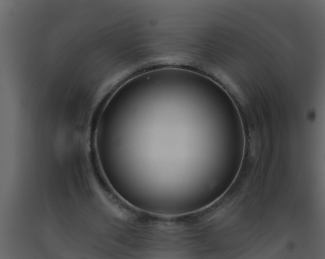 X0000093530486200710191356
