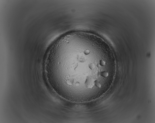 X0000093530487200710191356