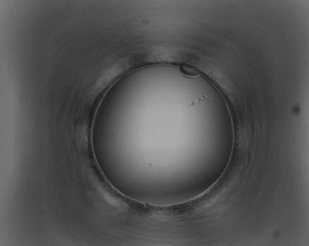 X0000093530489200710191356