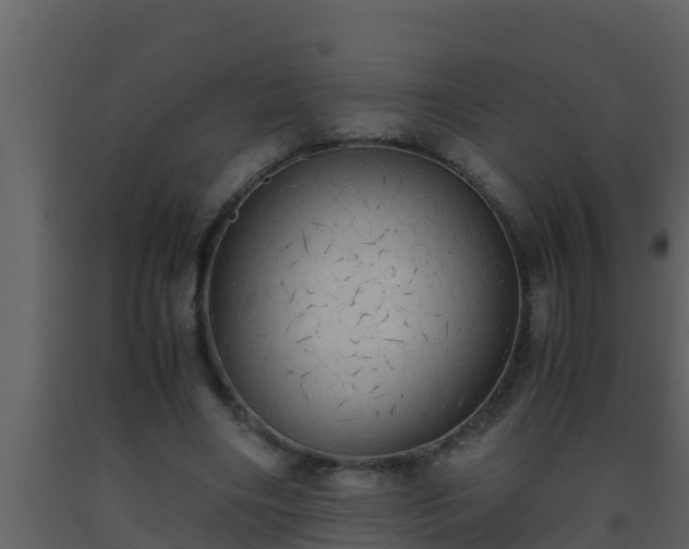 X0000093530490200710191356