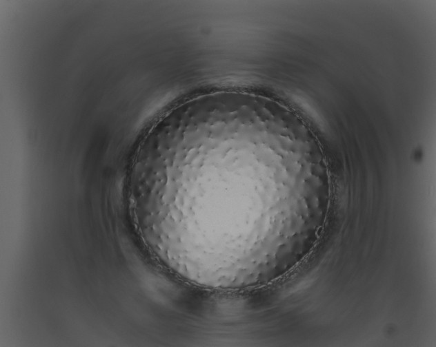 X0000093530491200710191356