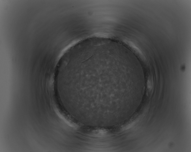 X0000093530492200710191356