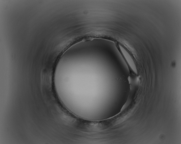 X0000093530493200710191356