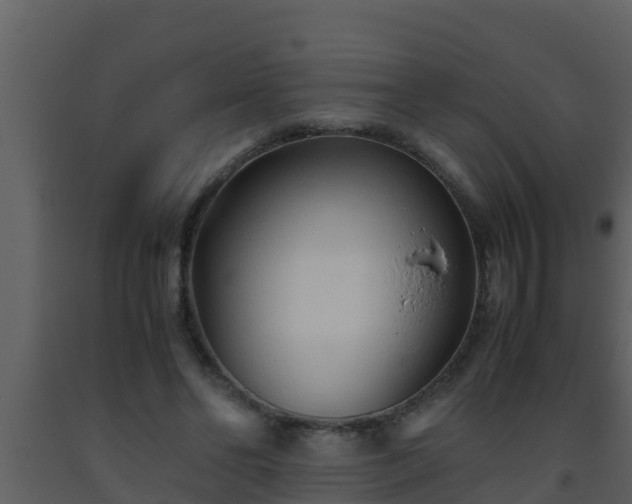 X0000093530494200710191356