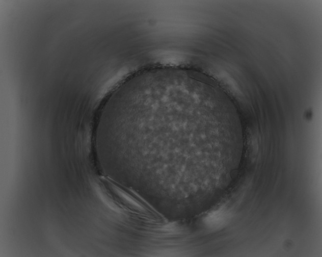 X0000093530496200710191356