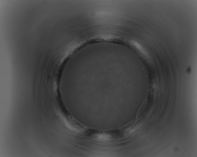 X0000093530500200710191356