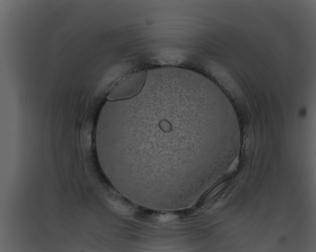 X0000093530501200710191356