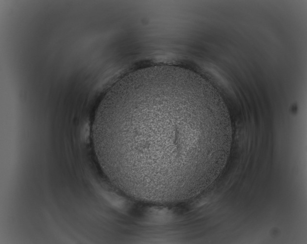 X0000093530502200710191356