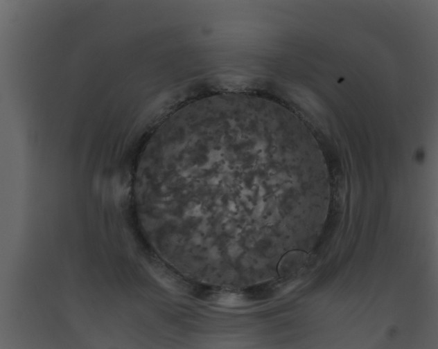 X0000093530507200710191356