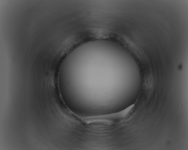 X0000093530512200710191356