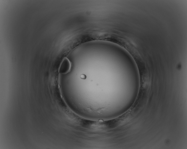X0000093530515200710191356