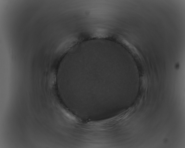 X0000093530517200710191356