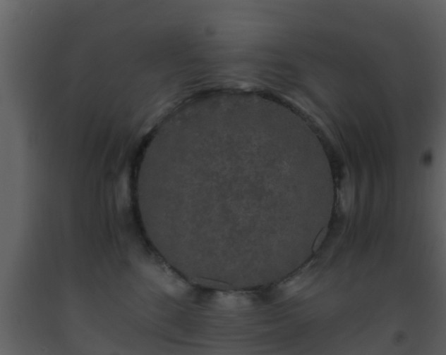 X0000093530520200710191356