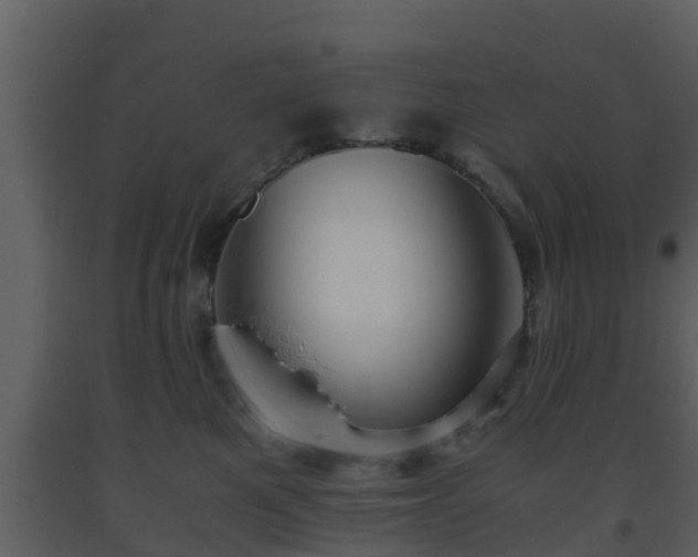 X0000093530521200710191356