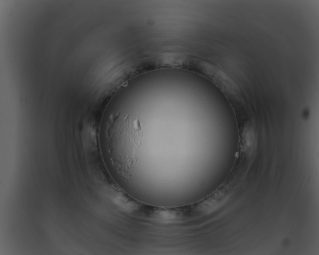 X0000093530522200710191356