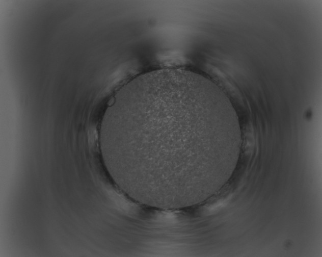 X0000093530523200710191356