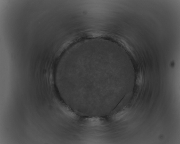 X0000093530524200710191356