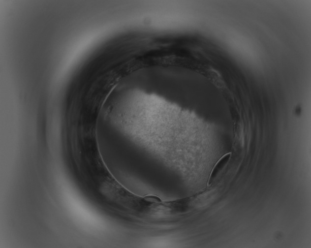 X0000093530526200710191356