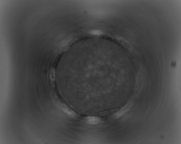 X0000093530528200710191356