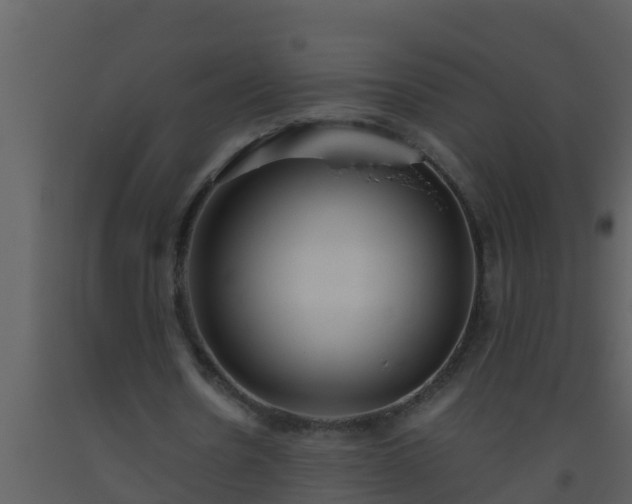 X0000093530530200710191355