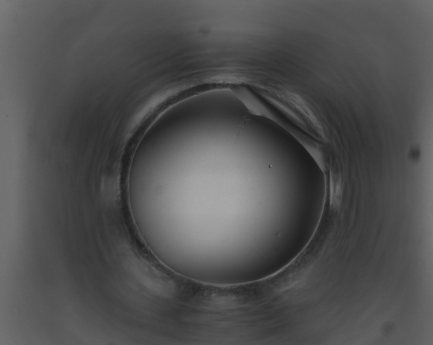 X0000093530531200710191355