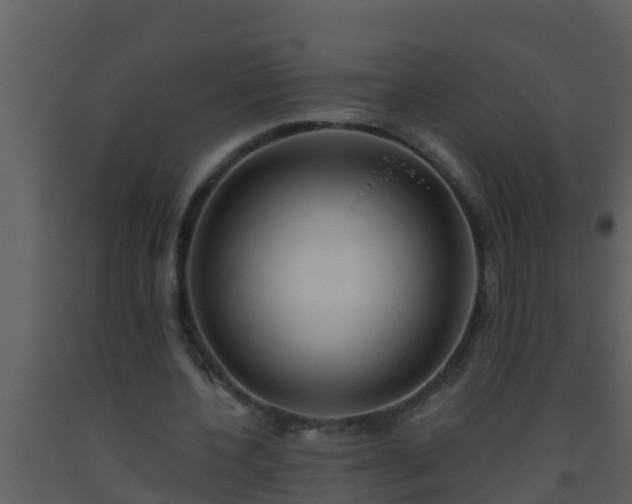 X0000093530532200710191355