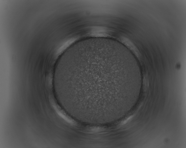 X0000093530533200710191355
