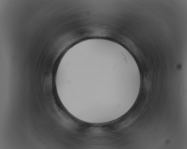 X0000093530534200710191355