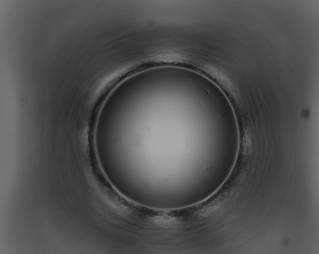 X0000093530535200710191355