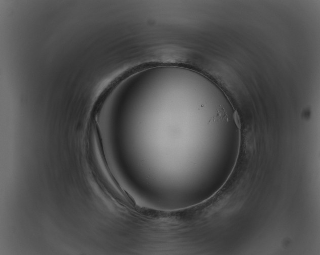 X0000093530536200710191355