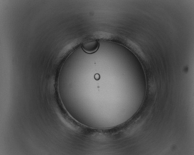 X0000093530538200710191355