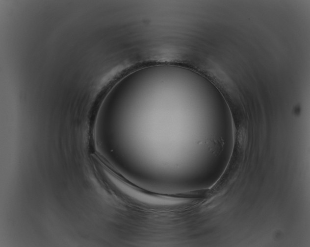 X0000093530540200710191355
