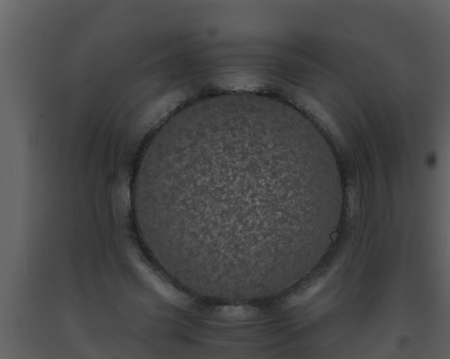 X0000093530541200710191355