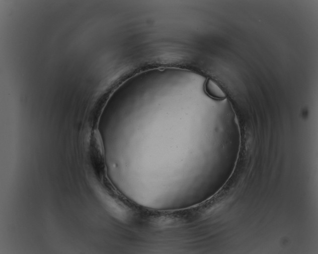 X0000093530542200710191355