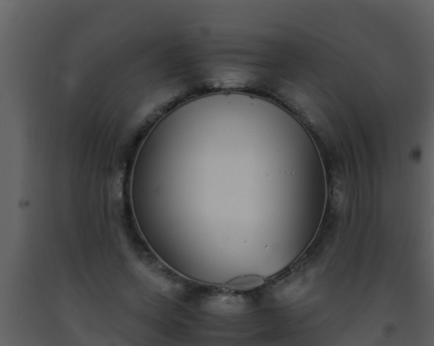 X0000093530543200710191355